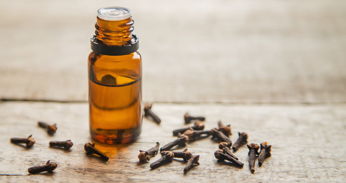 Is Clove Oil Safe for Internal Use? Everything You Need to Know