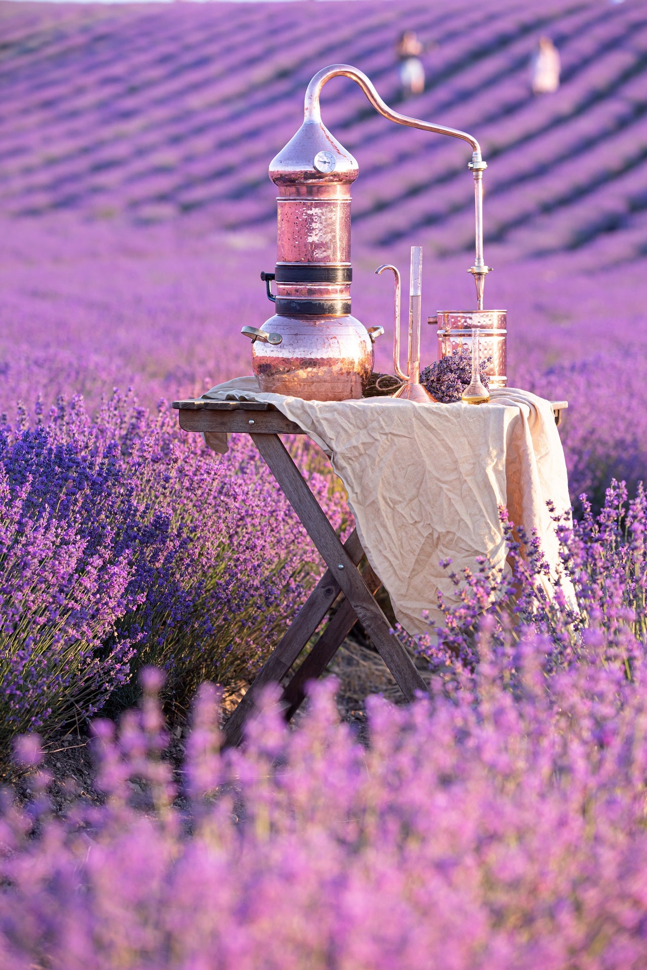 Single Oils