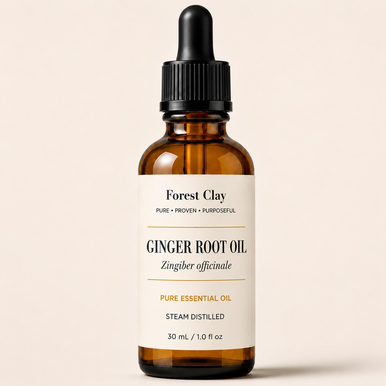 Olio di zenzero Zingiber officinale