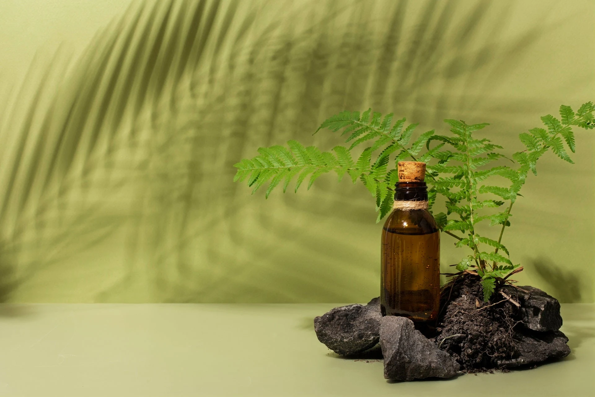 Descubriendo los beneficios de la aromaterapia con aceite de árbol de té: una guía esencial para la relajación natural y el alivio de la ansiedad